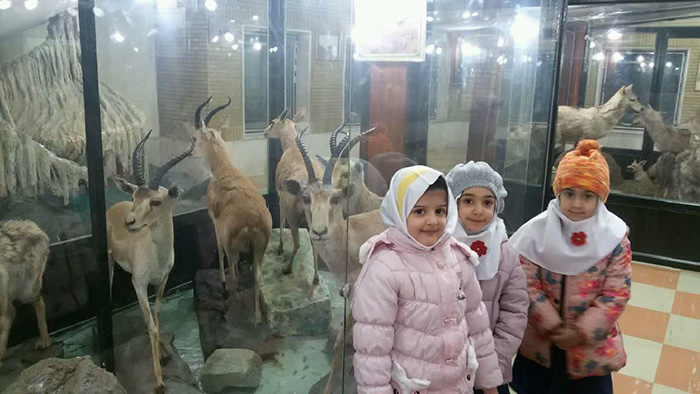970923 bazdidelmi danesh amozan pish dabesatani emam hasan mojtaba zanjan az moze ostan 04