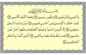 971003 hefz khordsalan