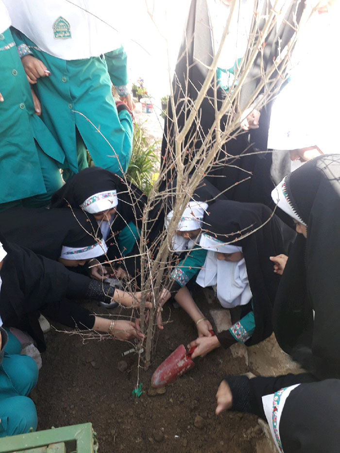 971218 marasem namadin rooz derakht kari 04