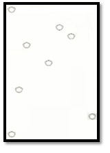 9512 rasekhoon 15 01