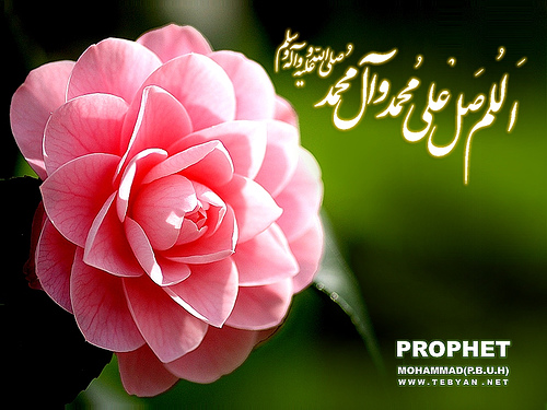 jqk gole mohamadi