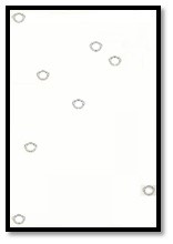 question10